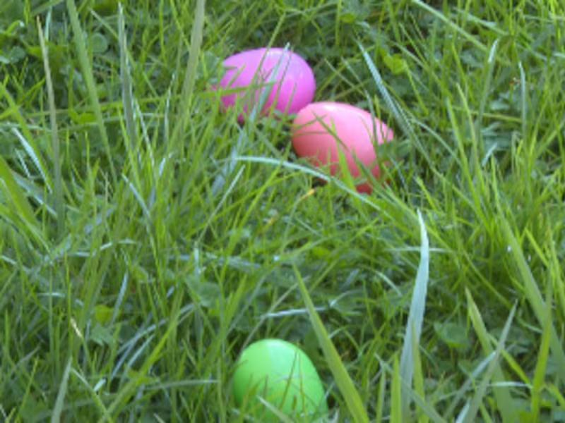 Virginia egg council offers tips for hard boiling eggs