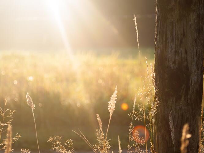 Rockland Daily Weather Forecast