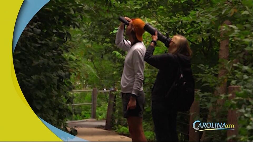 Birding is Trending Among Young People