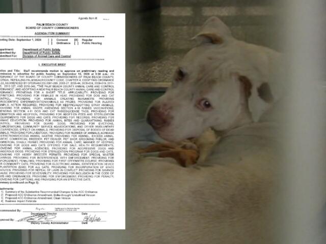 Ordinance would raise breeder fees, require inspections for hobby breeders