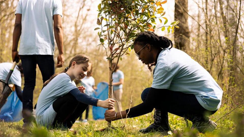 Dearborn Residents Boost Tree Planting Efforts Through Brome’s Donation ...