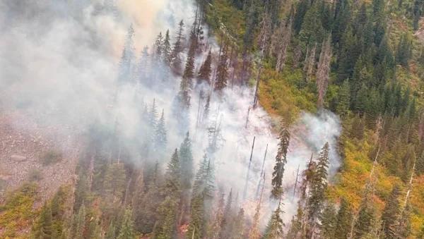 Goat Fire over 800 acres, now 85% contained - NewsBreak