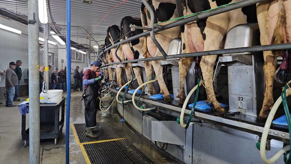 Wyoming Ranch Family Builds A 6,200-Cow Mega-Dairy On Eastern Plains ...