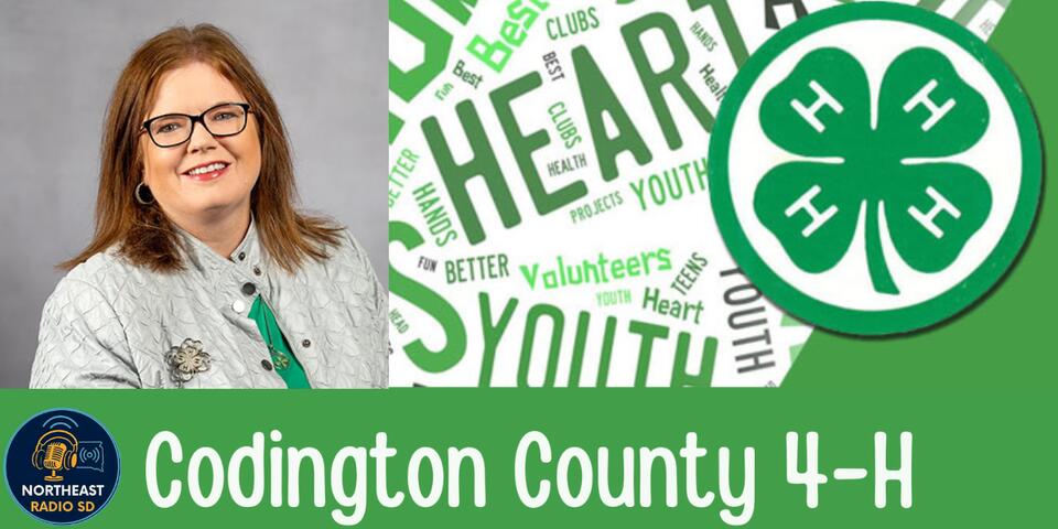 Codington County 4-H Opens New Year With Enrollment, Record Books, and ...