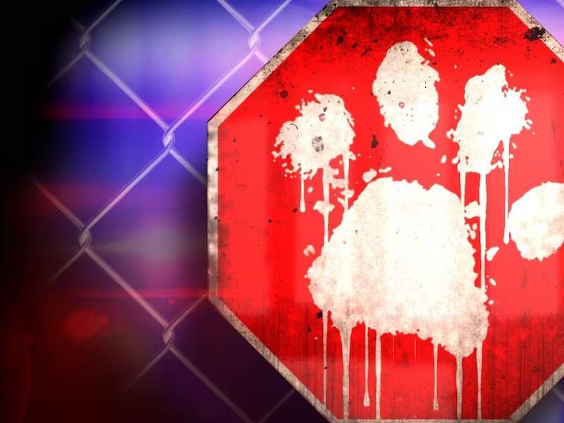 Pet grooming business in Gautier investigated for possible animal cruelty