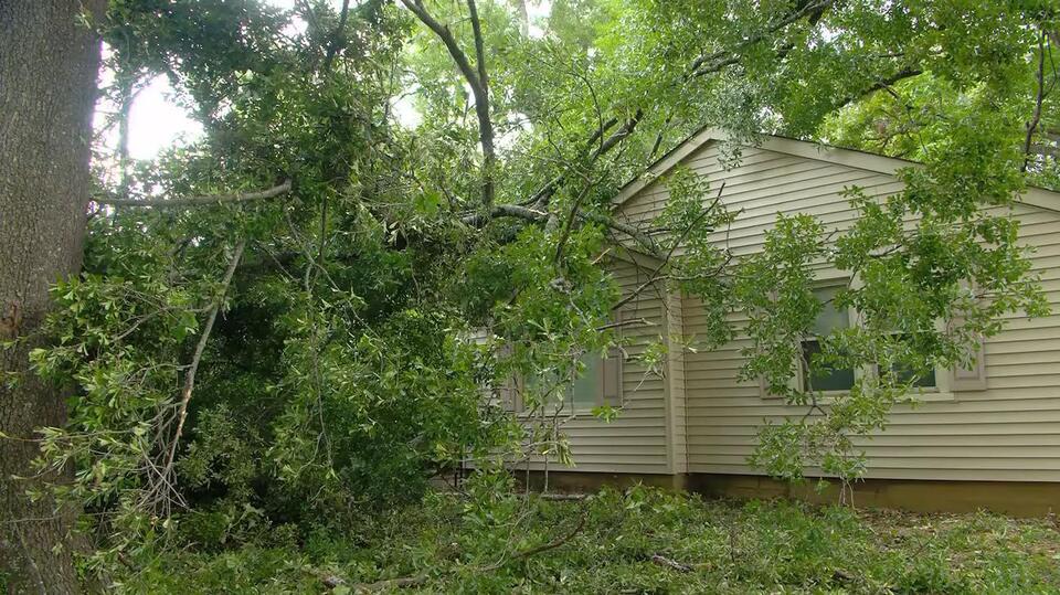 MLGW CEO says infrastructure work limited outages during Saturday's storm