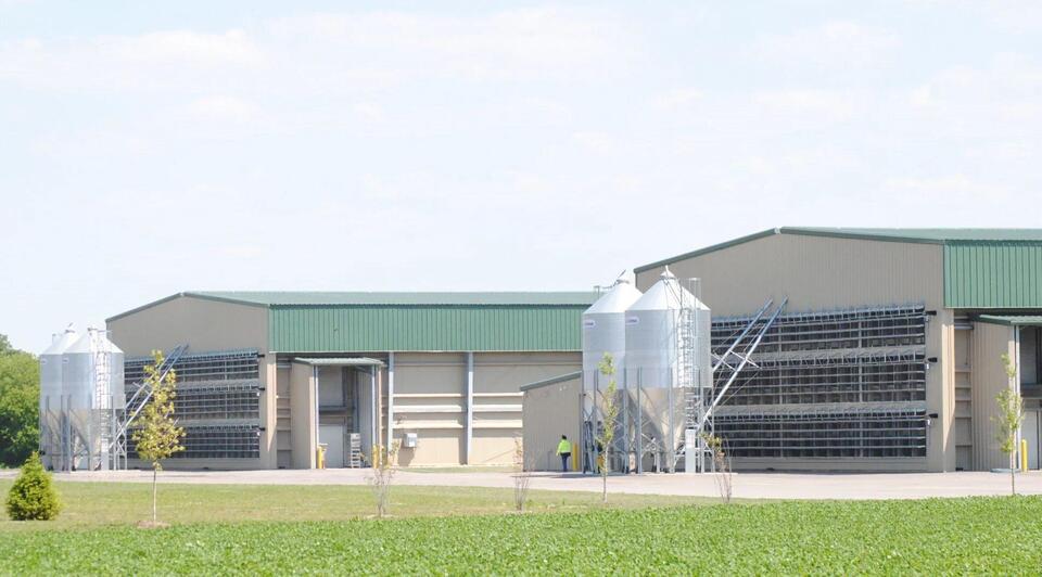Daybreak Foods, hit by bird flu, laying off workers - NewsBreak