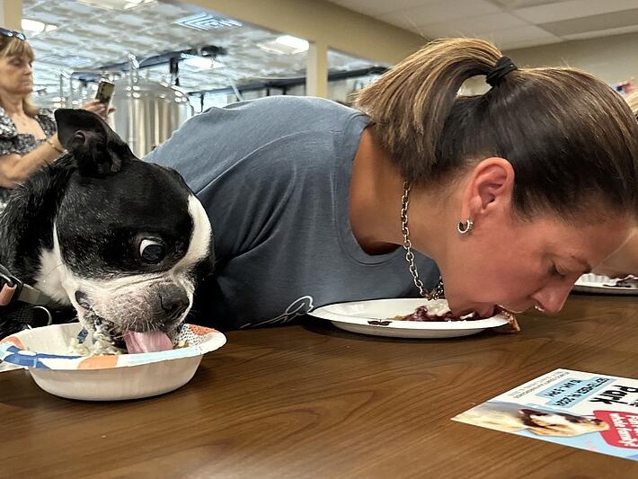 Dogs and their humans team up for Galloway pieeating contest