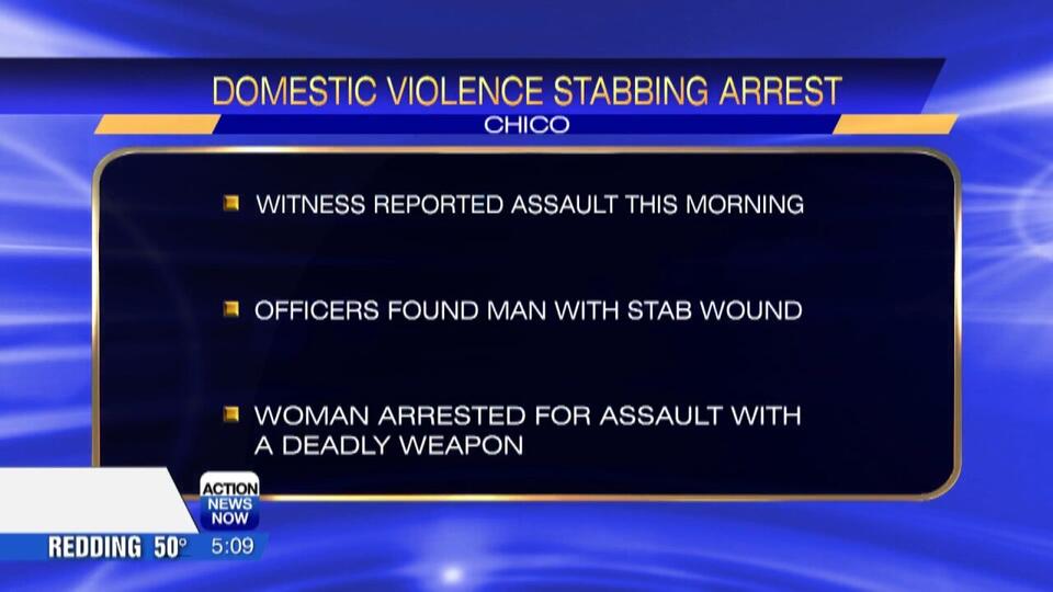 Stabbing incident near Hancock Park leads to arrest in Chico - NewsBreak