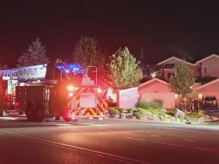 2 cats suffer smoke inhalation in Northville townhome fire