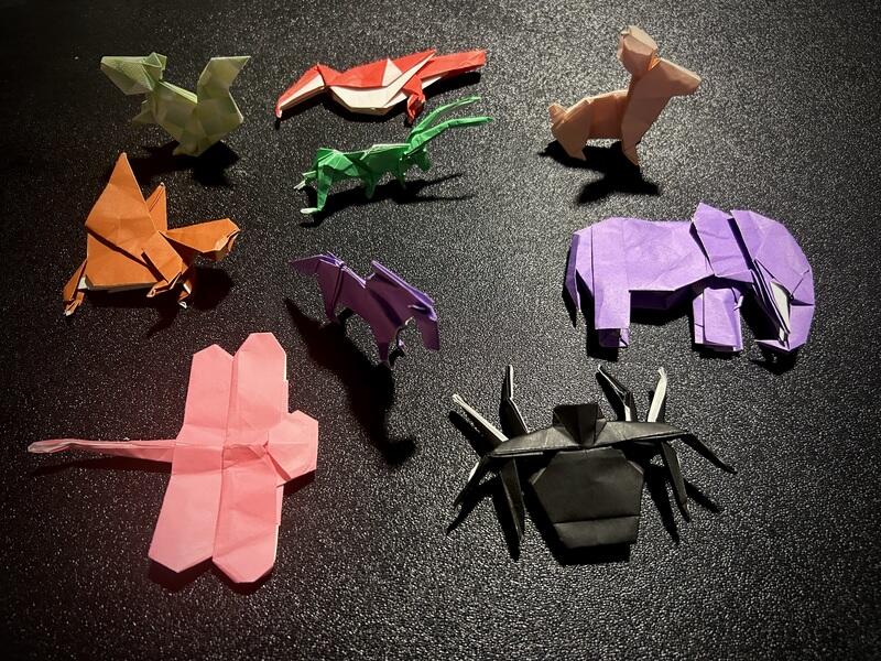 Paper folding blends math, art, and science at OrigaMIT 2025 - NewsBreak