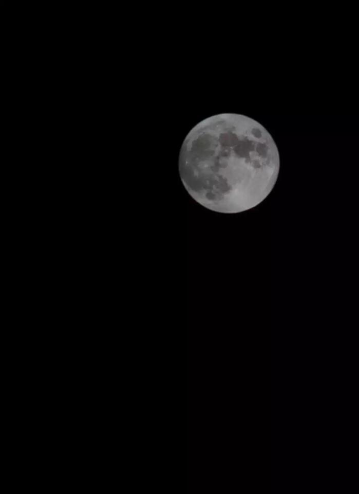 Stunning Photos of Boise’s ‘Blood Moon’ Take Over Social Media [Photos ...