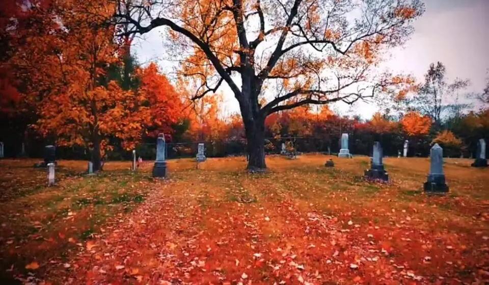 Blood Cemetery – The Story That Sparked the Legend: Laingsburg ...