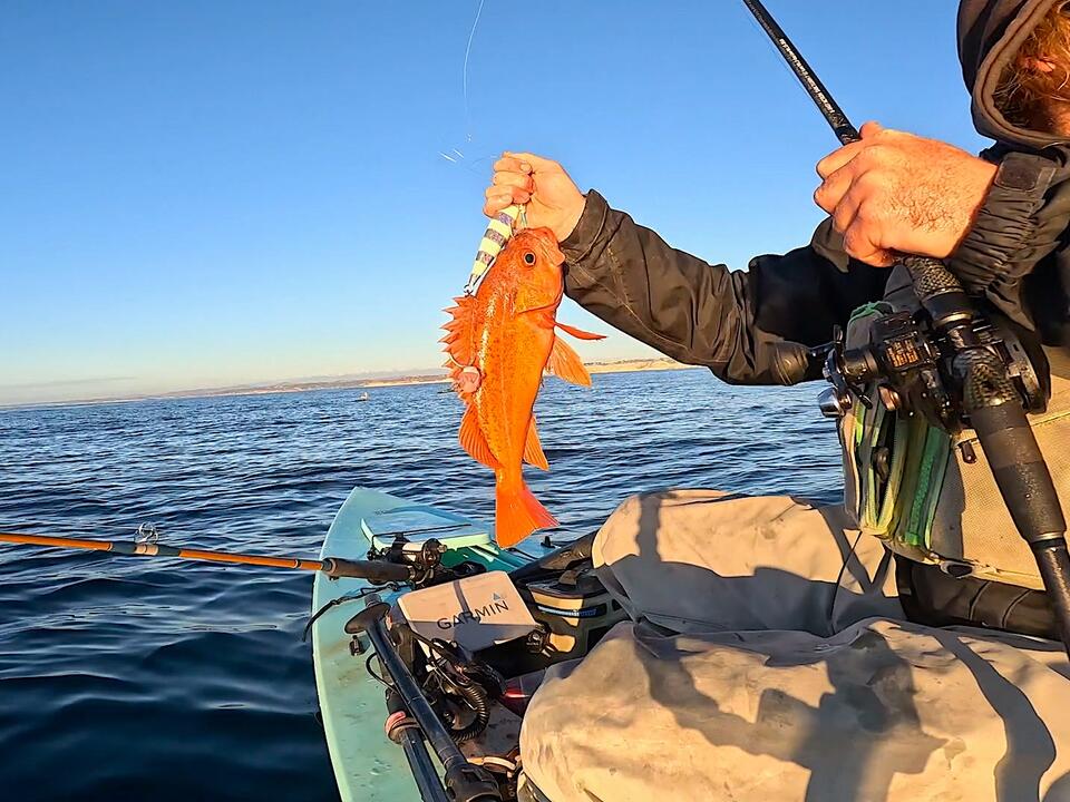 Red Vermilion Rockfish Bites My Knife Jig Lure While I Was Solo Skiff