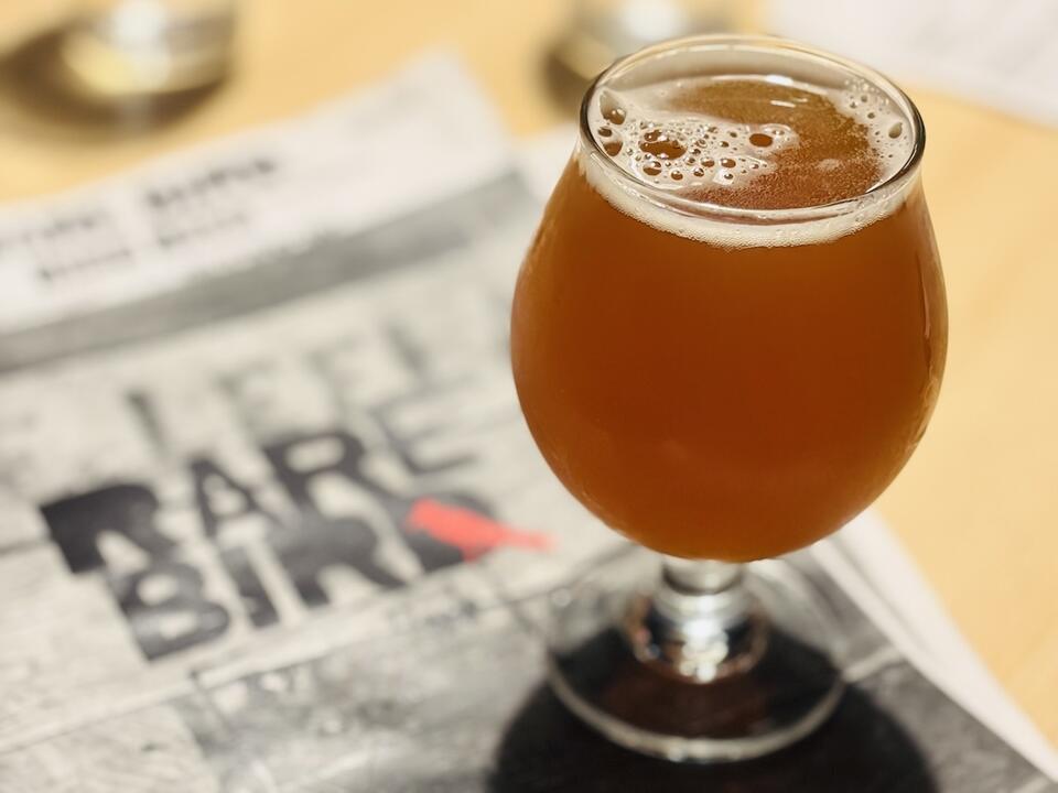 Rare Bird’s About Time IPA