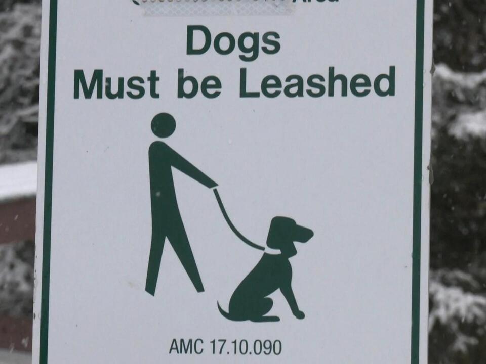 Anchorage Assembly looks to change rules for off leash dog owners