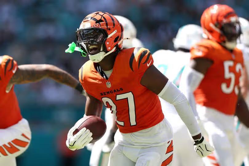 Bengals fans silenced as exposed secret plan to stop Dolphins ...