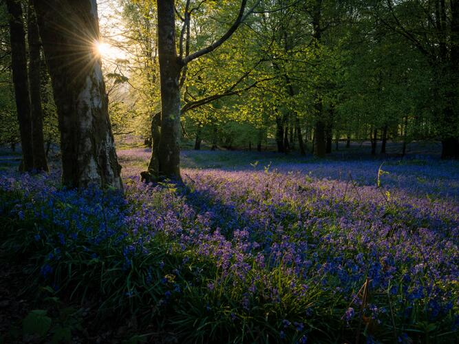 Sun forecast for Hazlehurst — 3 ways to hit it headon