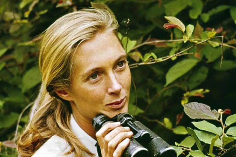 In Her Final Interview, Jane Goodall Issued Urgent Call to