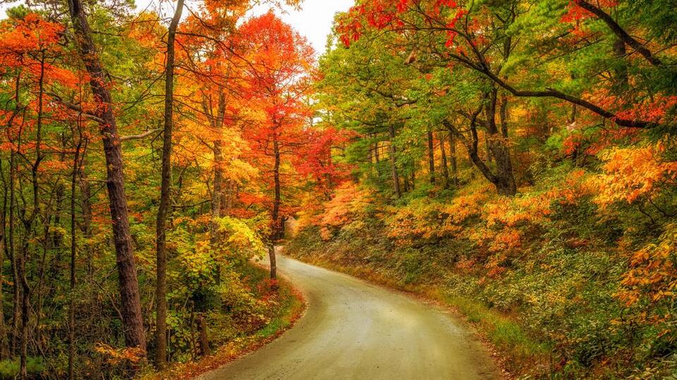 When You Can Expect to See Peak Fall Foliage, According to ‘The Old Farmer’s Almanac’
