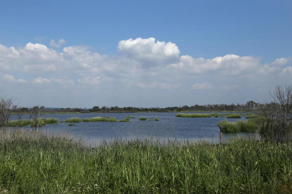 How To Enjoy NYC’s Jamaica Bay, on Water or Land