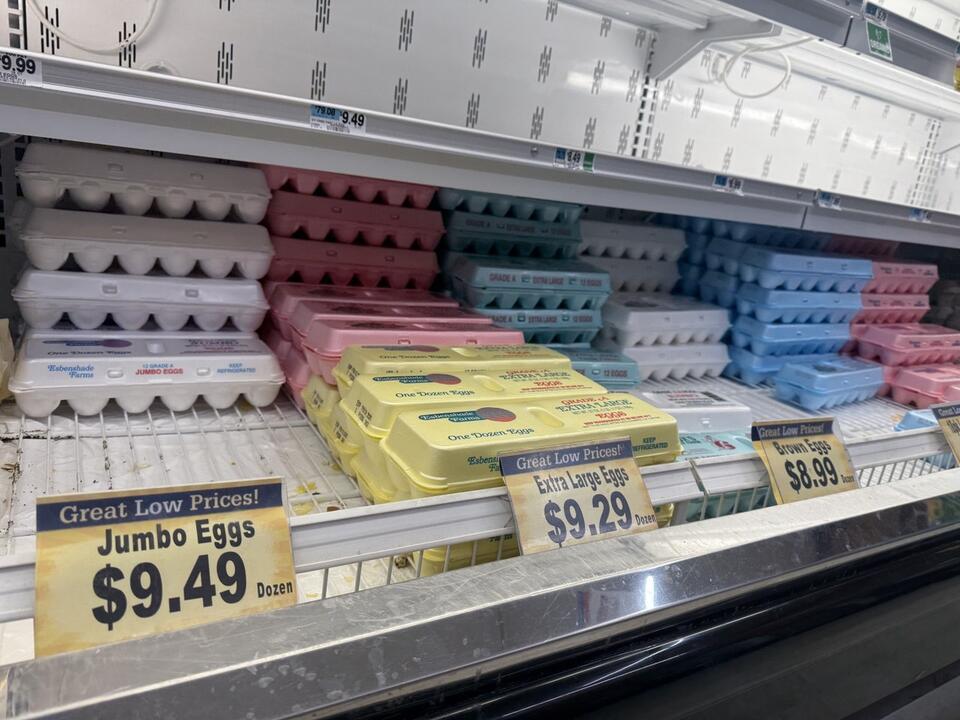 USDA Warns Egg Prices to Soar Over 41% in 2025 Amid Bird Flu Crisis ...