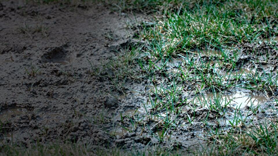 You spread sand on your clay lawn, but a university extension service says changing clay texture takes 50% or more sand by volume in most cases