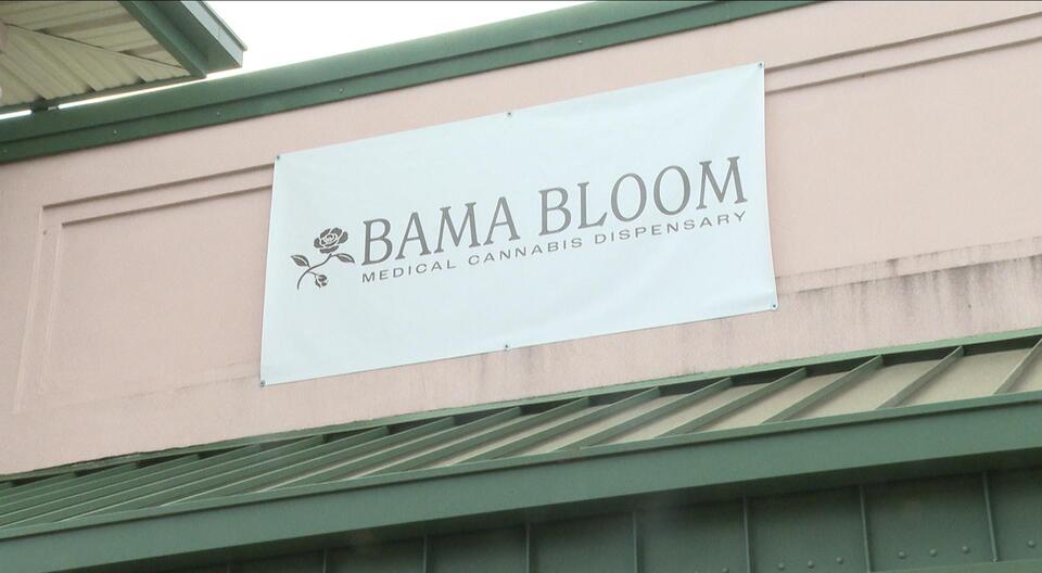 Bama Bloom medical cannabis dispensary celebrates grand opening in ...