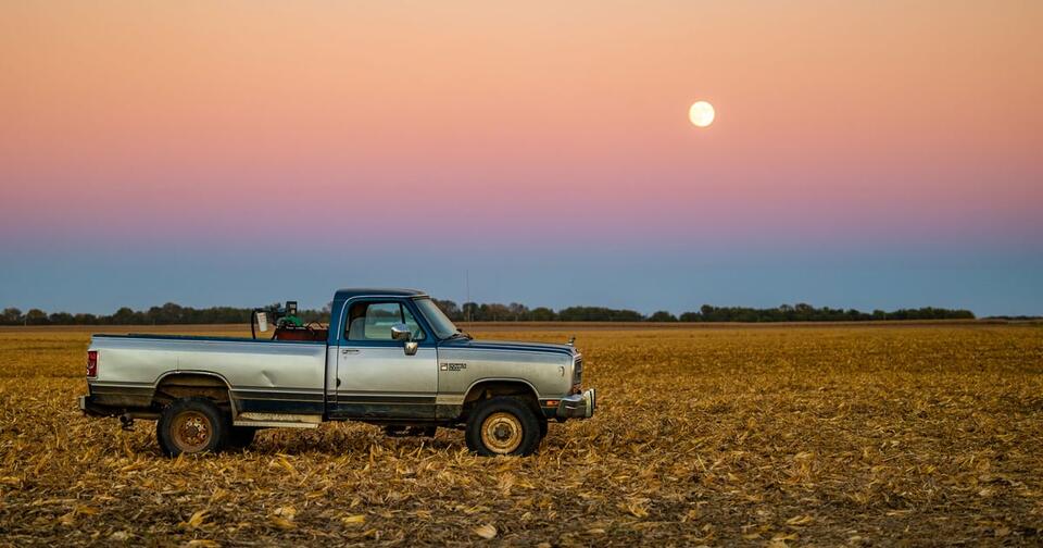 A priority problem on the farm