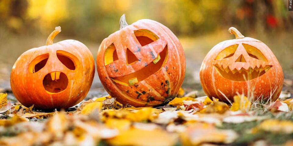 Consumer Reports: What to buy in October 2026 - NewsBreak