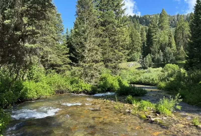Hunter dies in Salmon after accidental shooting inside a tent - NewsBreak