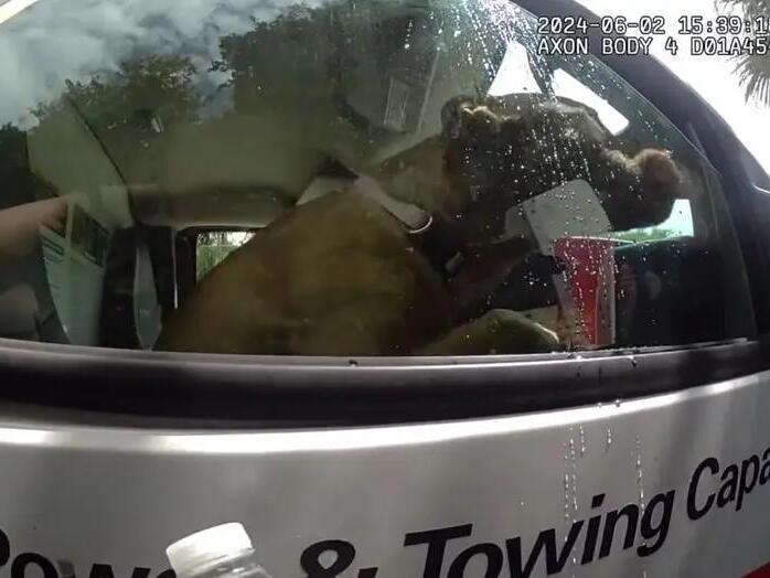 Dog left in hot UHaul truck for an hour while owners went to Florida