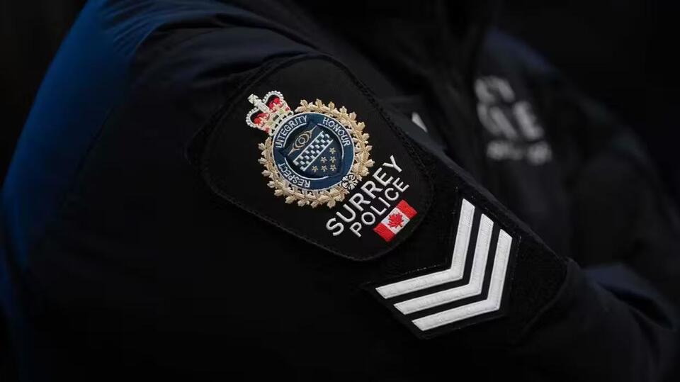 Suspect in 2024 fire attack found dead in Surrey, B.C., ending ...
