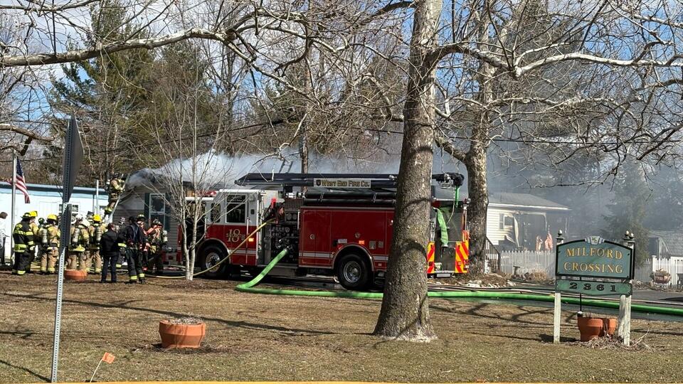 Officials say dog rescued from fire in Bucks County home - NewsBreak