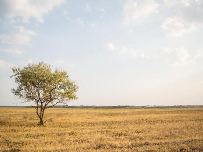 Eastman Daily Weather Forecast