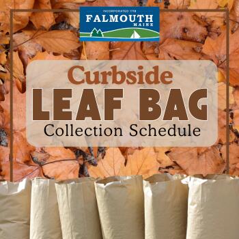 🚧 Fall curbside leaf bag pickup & new bag rules in Falmouth - NewsBreak