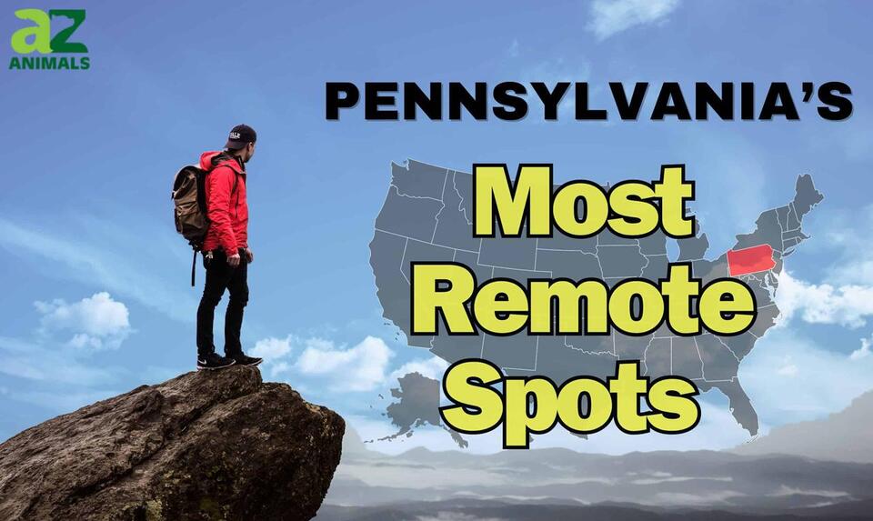 The 3 Most Remote Spots in Pennsylvania And How to Safely Get There ...