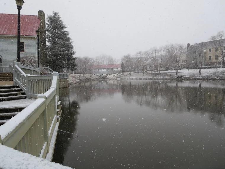 Fish, turtles die en masse at Tackett's Mill in Lake Ridge - NewsBreak