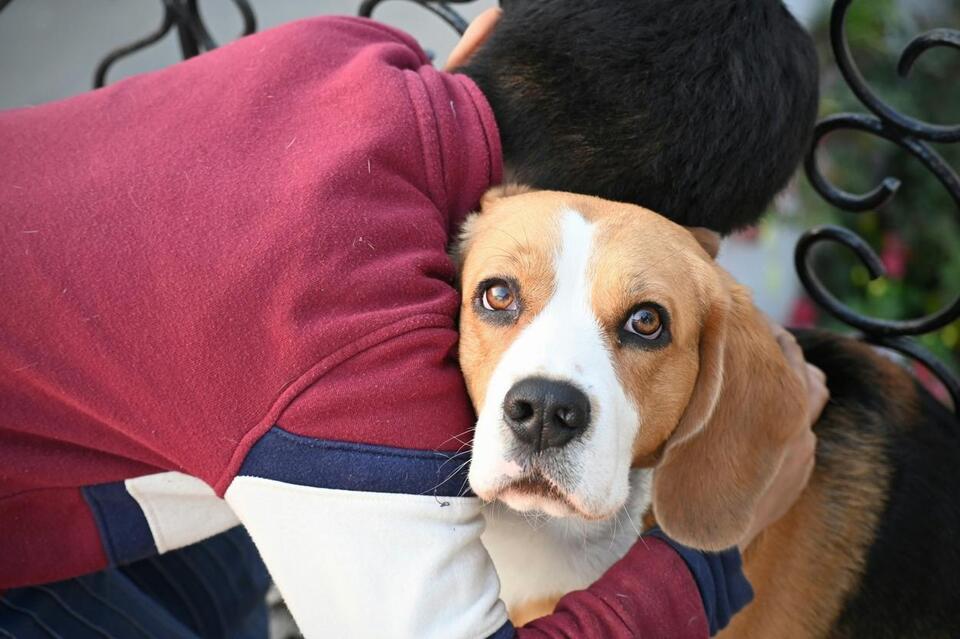 Microchip Your Pet Tuesday For Just $10 In St Cloud - NewsBreak