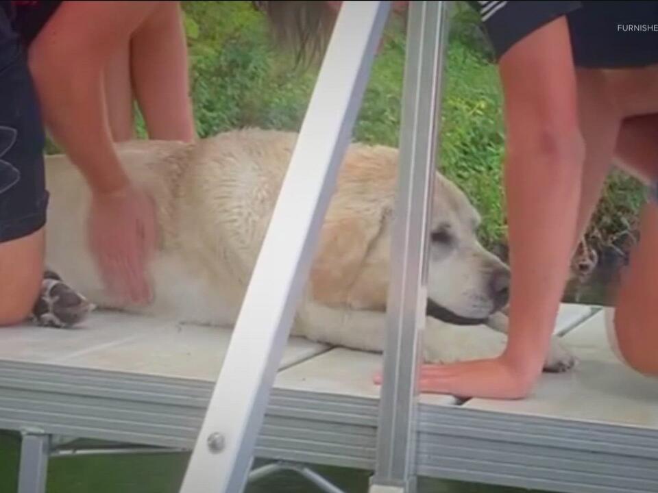 2 teens rescue 14yearold dog drowning in Minnesota lake