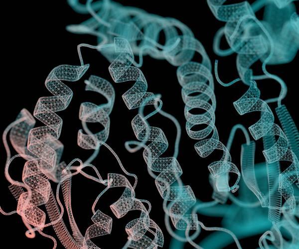Reprogramming Nature: UCSF Leads AI-Driven Protein Design Initiative ...