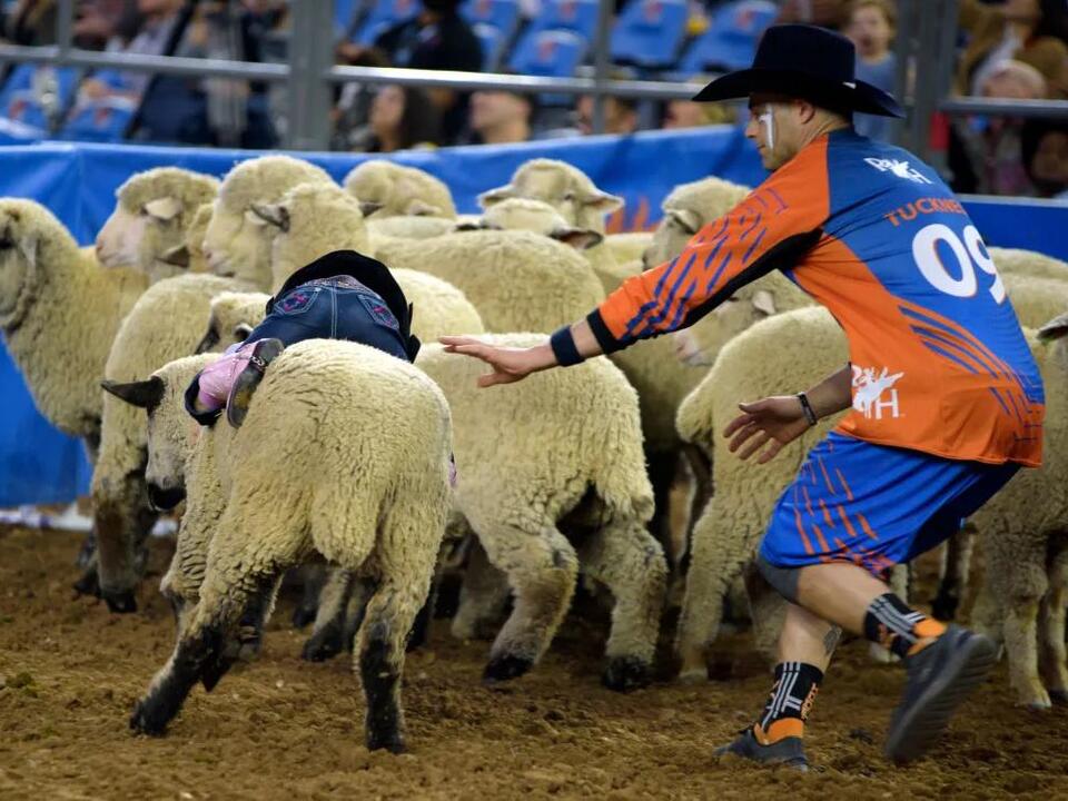 Former RodeoHouston Leader Pleads Guilty in 2.8 Million Fraud