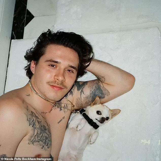 Brooklyn Beckham's wife Nicola Peltz 'hires lawyer to go after dog ...
