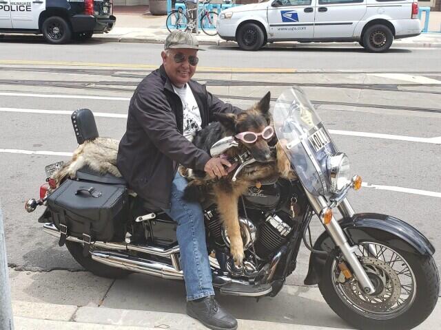 The motorcycle German Shepherds bringing joy to Wisconsin - NewsBreak