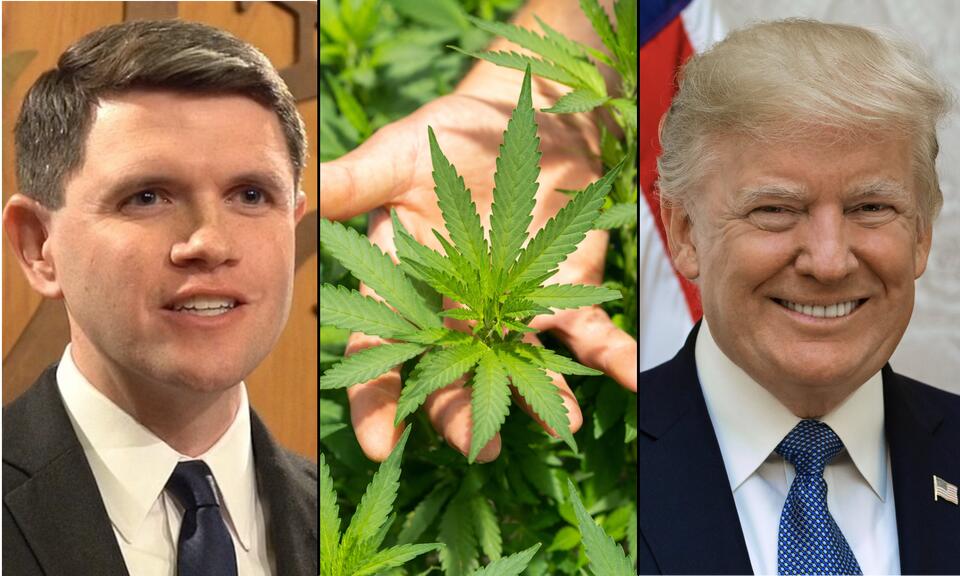 Talarico Wants To Partner With Trump On Legalizing Marijuana If He Wins ...