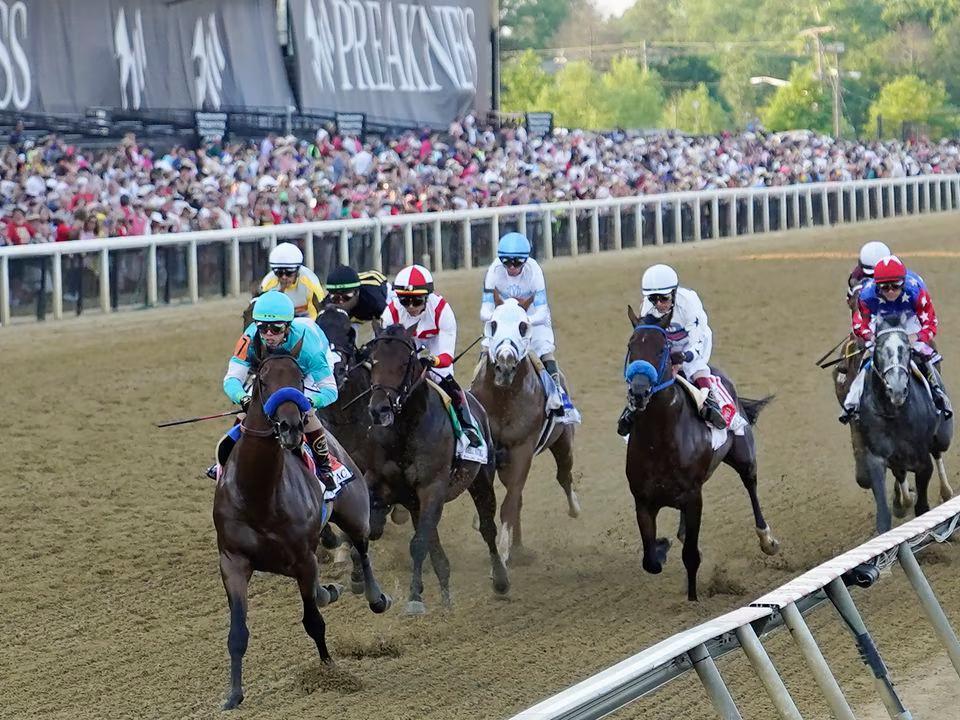 How to Watch the 2023 Preakness Stakes Odds, Channel, Stream, Start