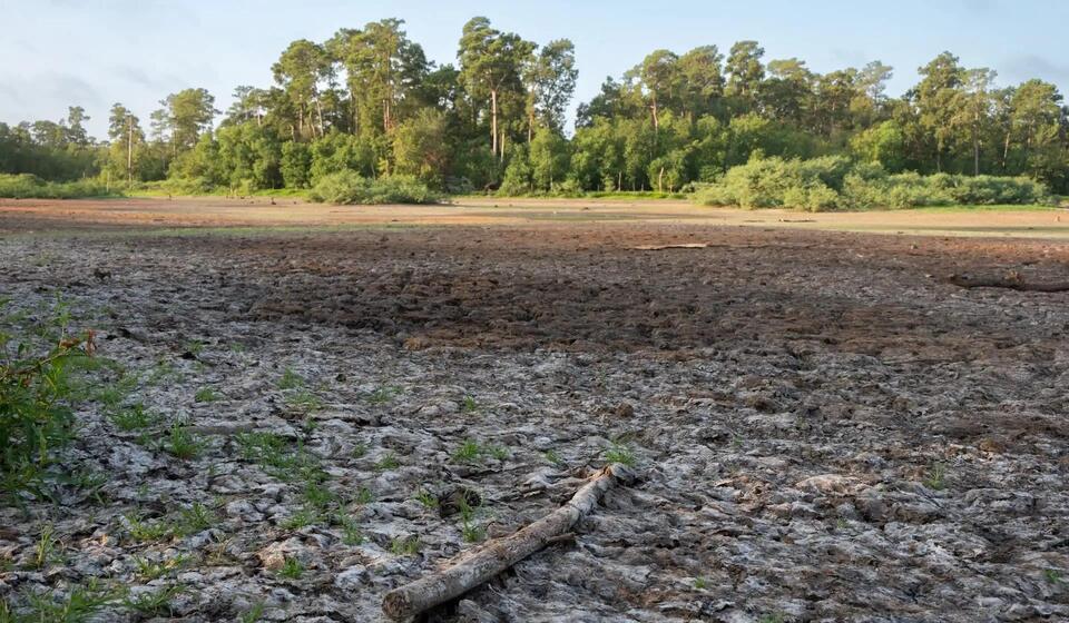 Texas family's fight over pipeline easement turns into eminent-domain ...