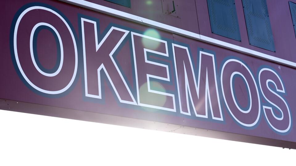 Okemos superintendent recommends Wolves as new mascot - NewsBreak