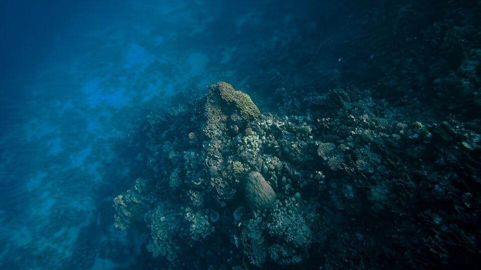 The Deepest Oceans Hold Secrets of Life from Earth’s Earliest Days