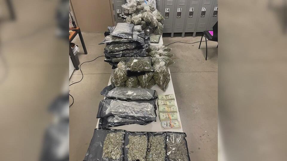 BCSO deputies seize several pounds of marijuana, $8K in drug bust ...